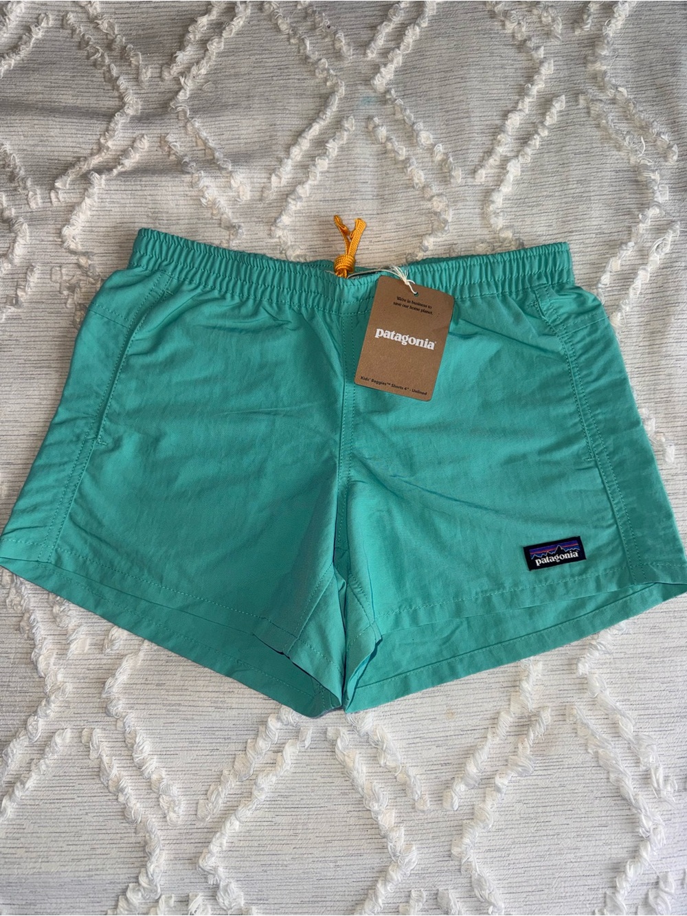 Patagonia Baggies 4” Shorts Women’s XS Fresh Teal (FRTL) NWT Unlined